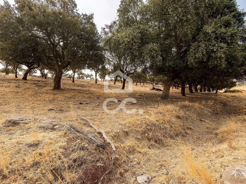 Helårsgrund i Reguengos de Monsaraz, Evora - foto 3
