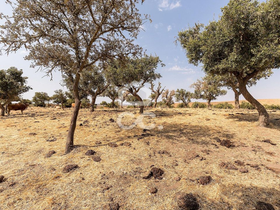 Helårsgrund i Reguengos de Monsaraz, Evora - foto 4