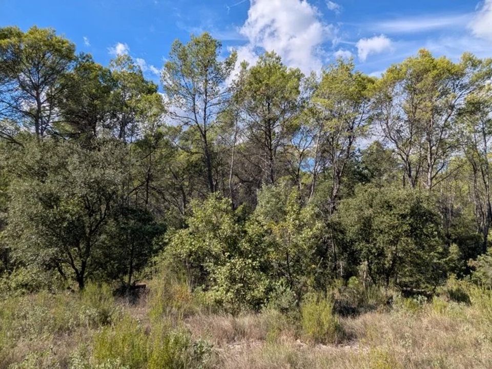 Helårsgrund i Entrecasteaux, Var - foto 5