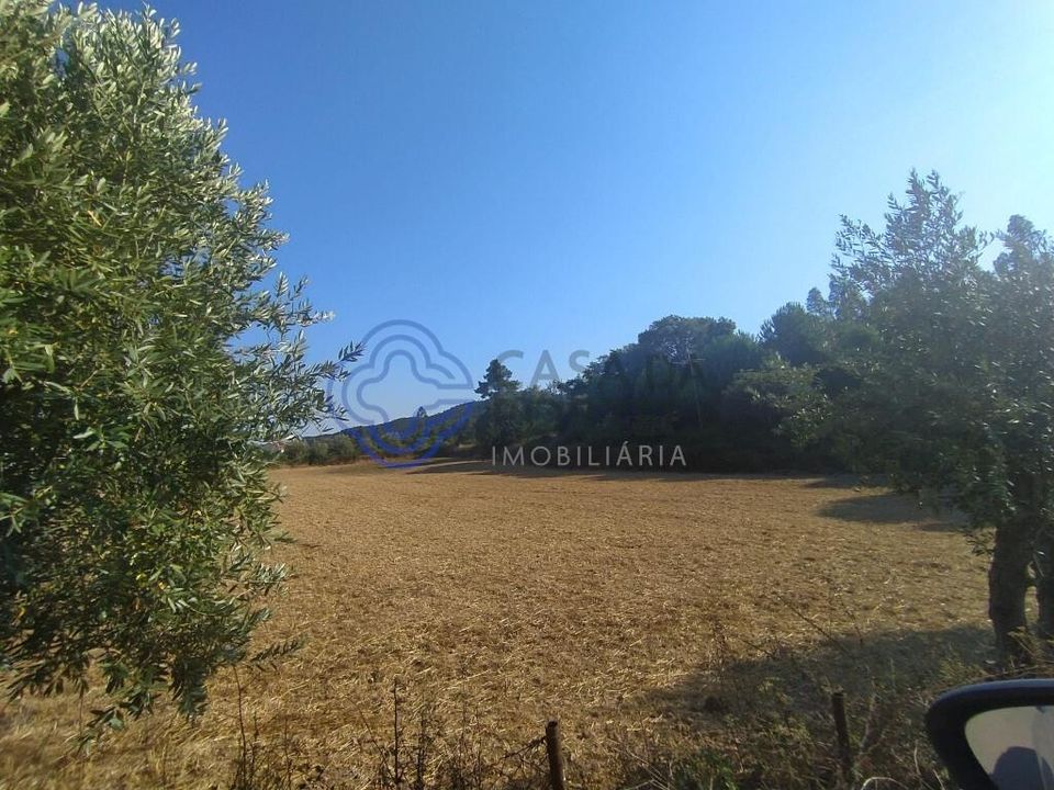 Erhvervsejendom i Ferreira do Zezere, Santarem - foto 4