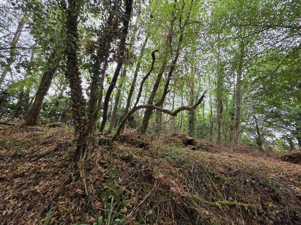 Willa: Bazaiges, Indre – zdjęcie 4