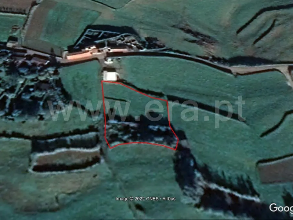 Terra a Horta, Faial - foto 2