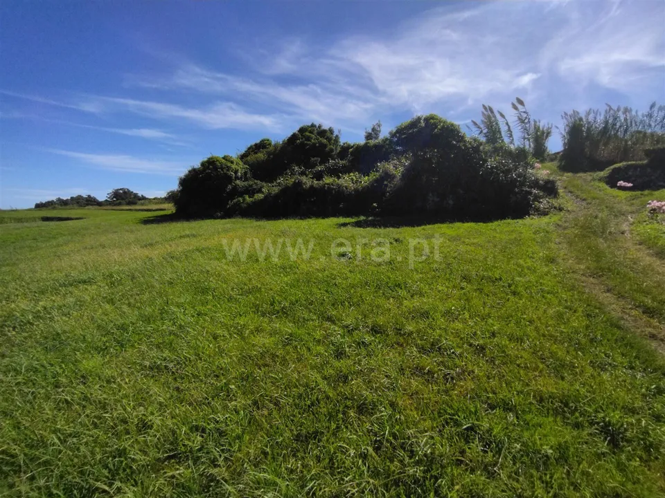 Terra a Horta, Faial - foto 3