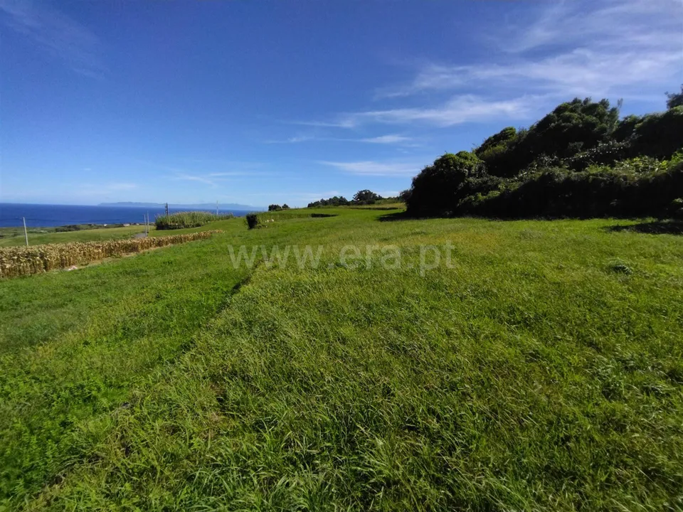 Terra a Horta, Faial - foto 4