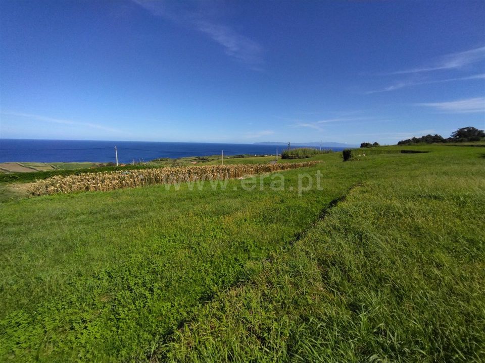 Terra a Horta, Faial - foto 5