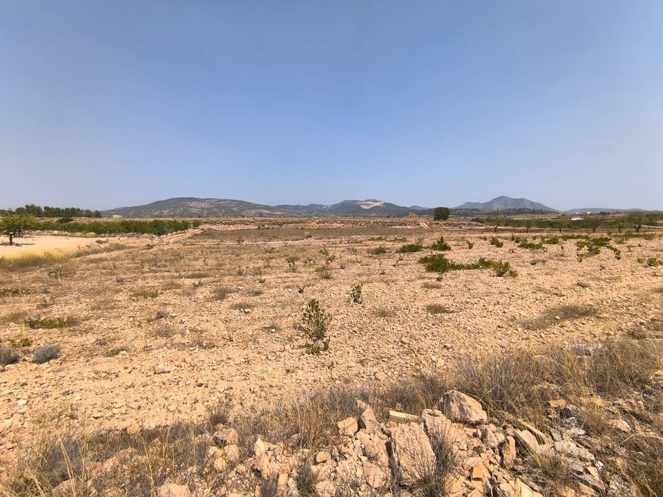 Helårsgrund i Pinoso, Alicante - foto 1