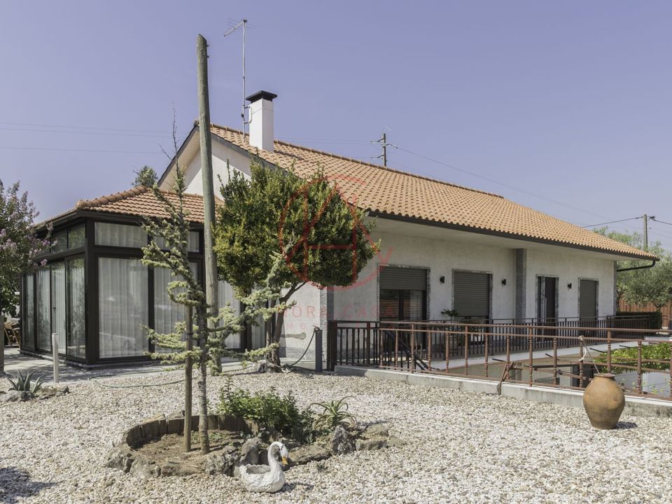 Landejendom i Torres Novas, Santarem - foto 1