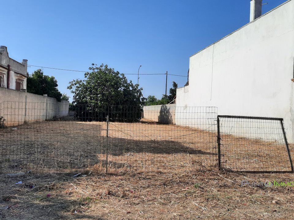 Helårsgrund i San Pietro Vernotico, Brindisi - foto 5