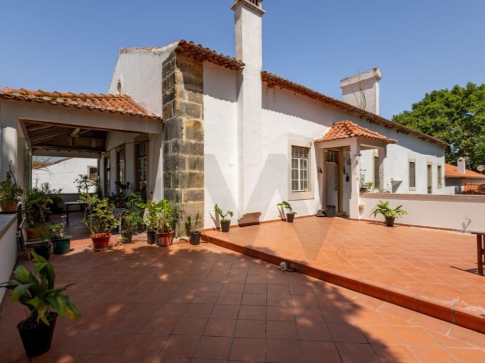 Farm i Atalaia, Santarem - foto 5