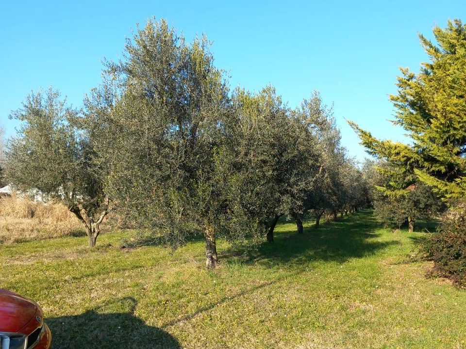 Tomt i Staranzano, Gorizia - bilde 2