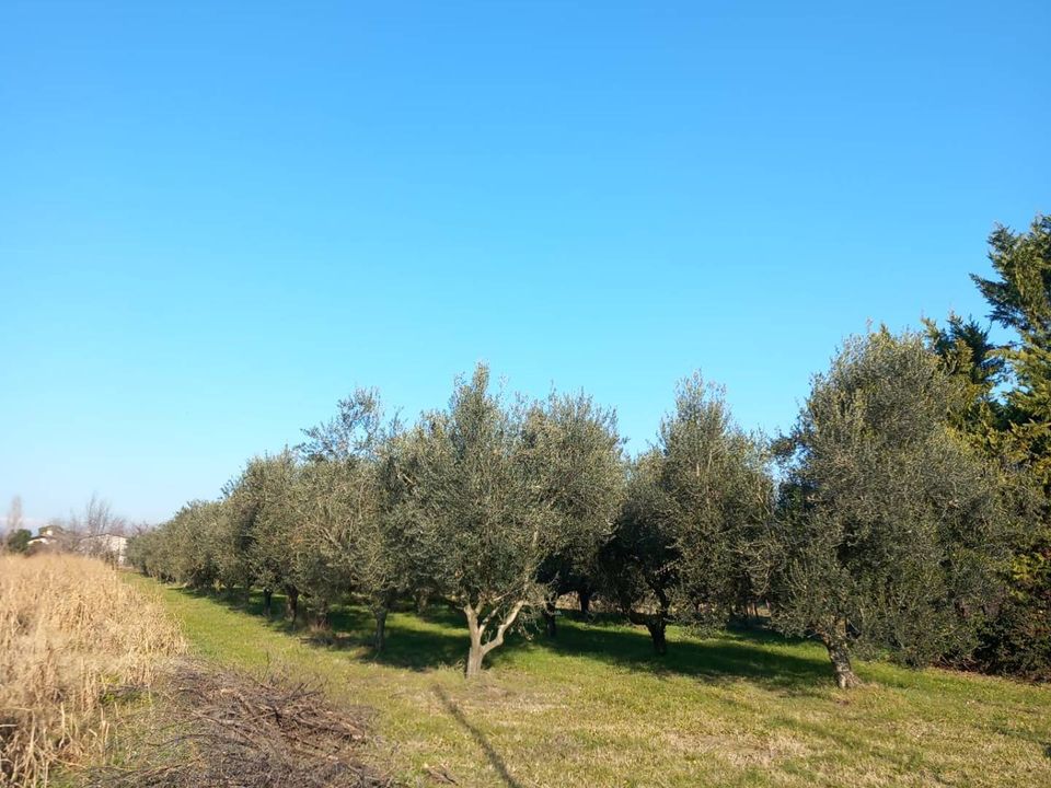 Tomt i Staranzano, Gorizia - bilde 3