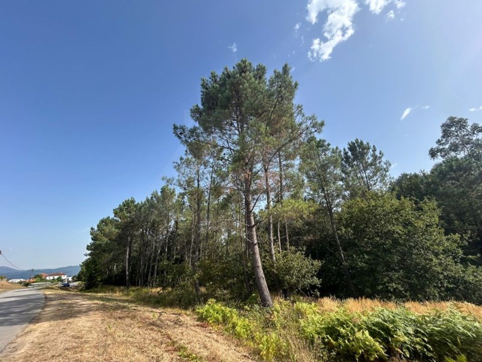 Helårsgrund i Paredes de Coura, Viana do Castelo - foto 1