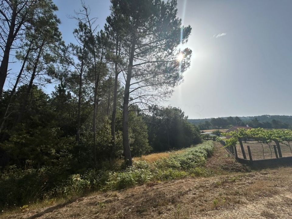 Helårsgrund i Paredes de Coura, Viana do Castelo - foto 2