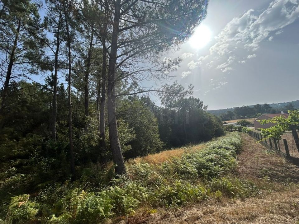 Helårsgrund i Paredes de Coura, Viana do Castelo - foto 3
