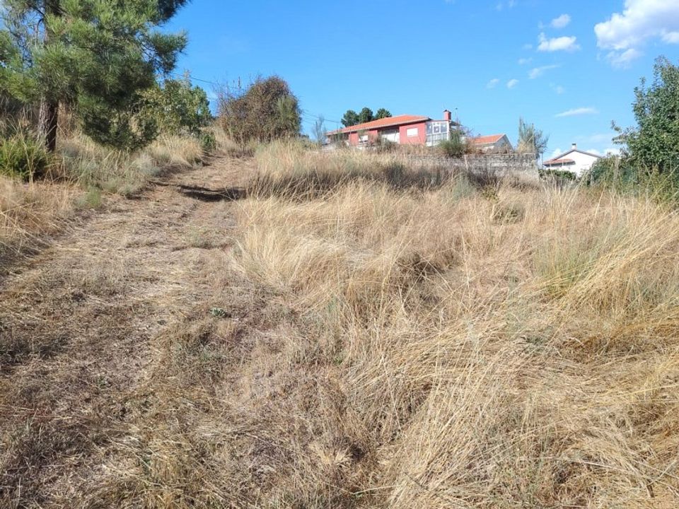 Terreno en Tarouca, Viseu - foto 4