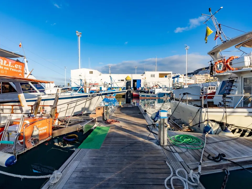 Erhvervsejendom i Arona, Tenerife - foto 2