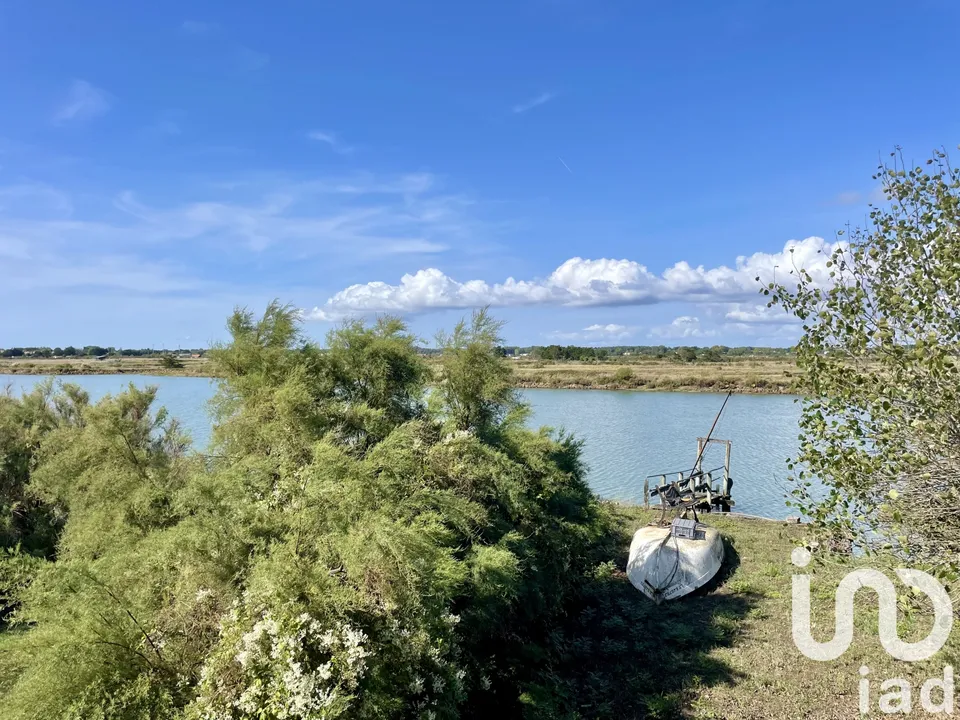 Willa: Le Fenouiller, Vendee – zdjęcie 3