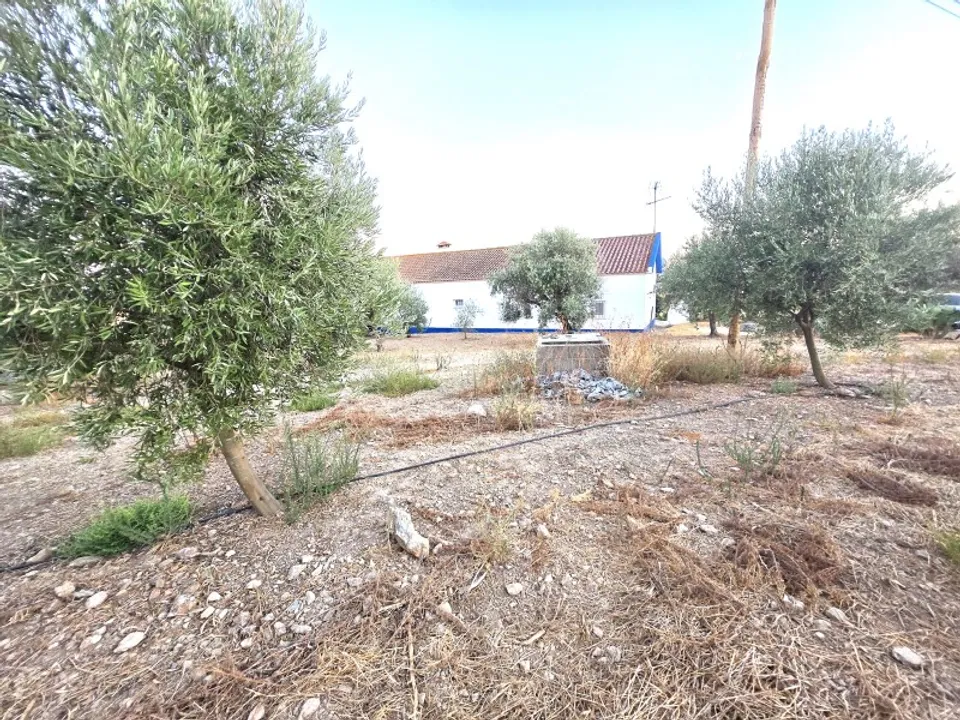 Farm i Santiago Maior, Evora - foto 3