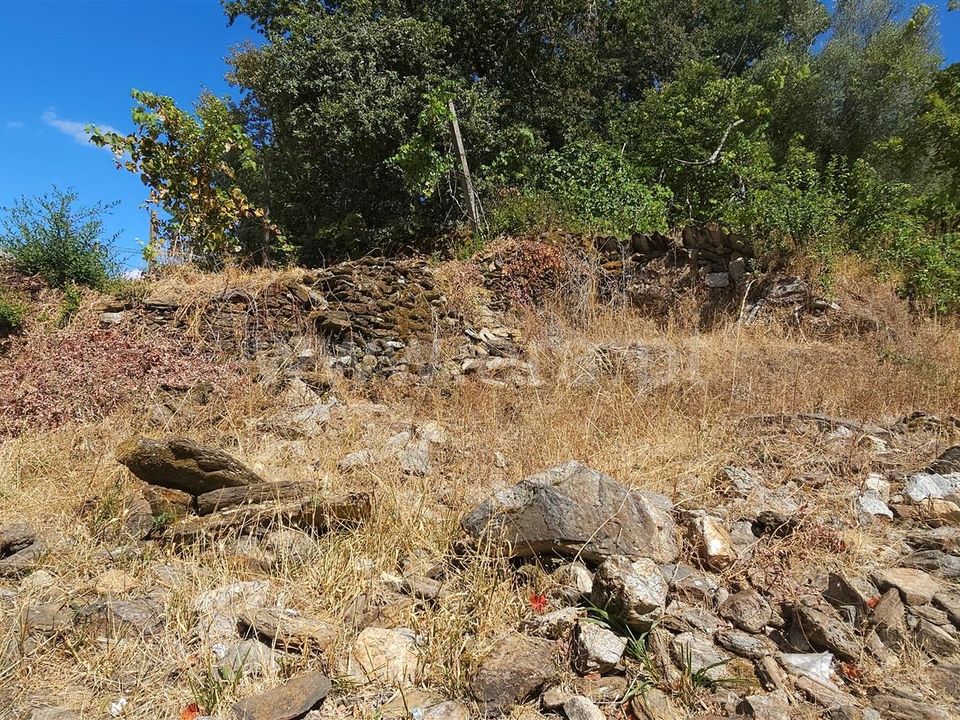 Grond in Montalegre, Vila Real - foto 5