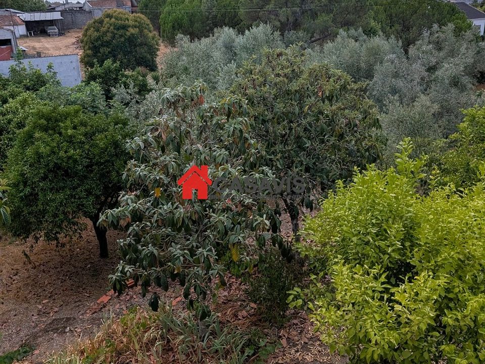 Farm hus i Nelas, Viseu - foto 3