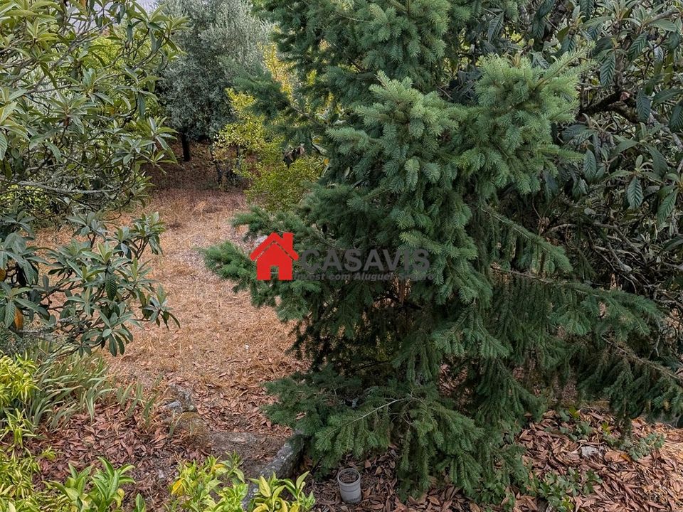 Farm hus i Nelas, Viseu - foto 4