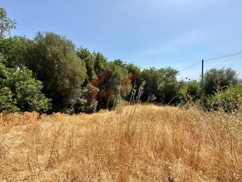 Helårsgrund i Sao Bras de Alportel, Faro - foto 3