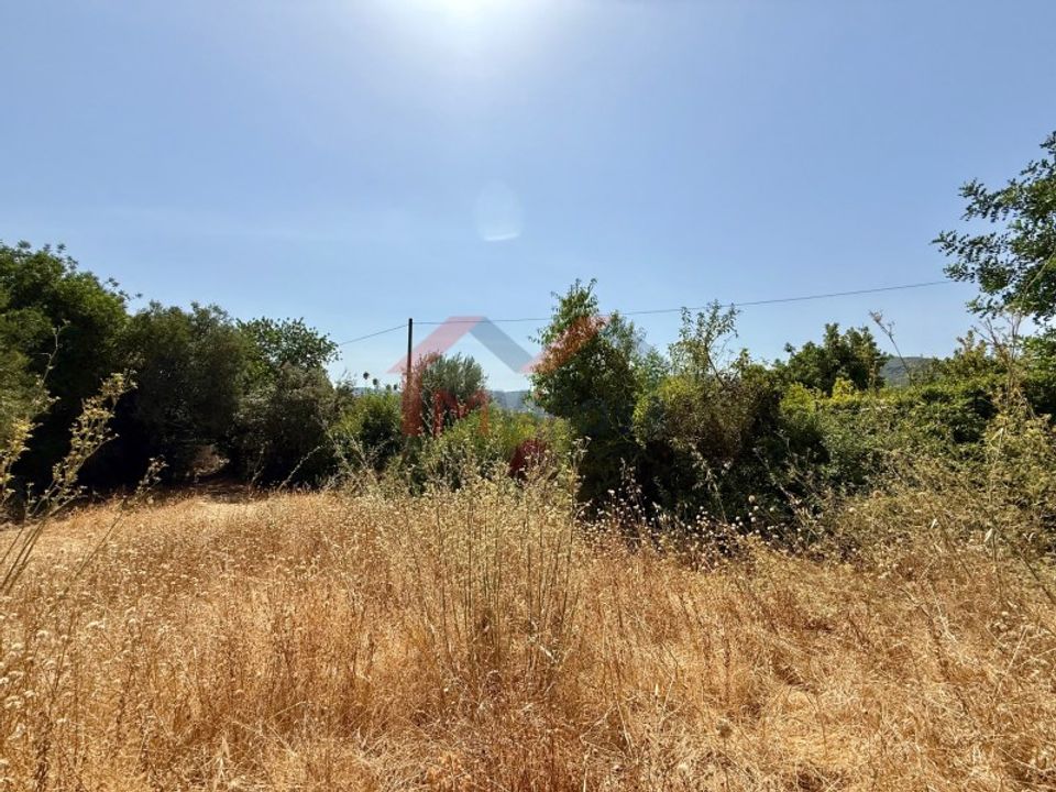 Helårsgrund i Sao Bras de Alportel, Faro - foto 5