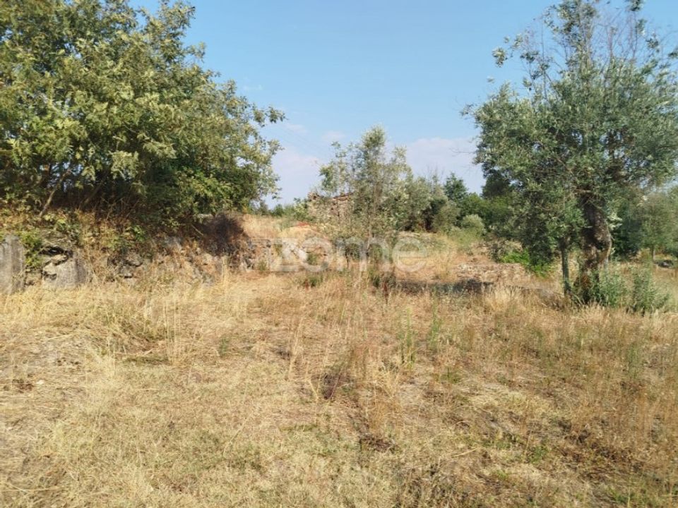 Helårsgrund i Mangualde, Viseu - foto 1