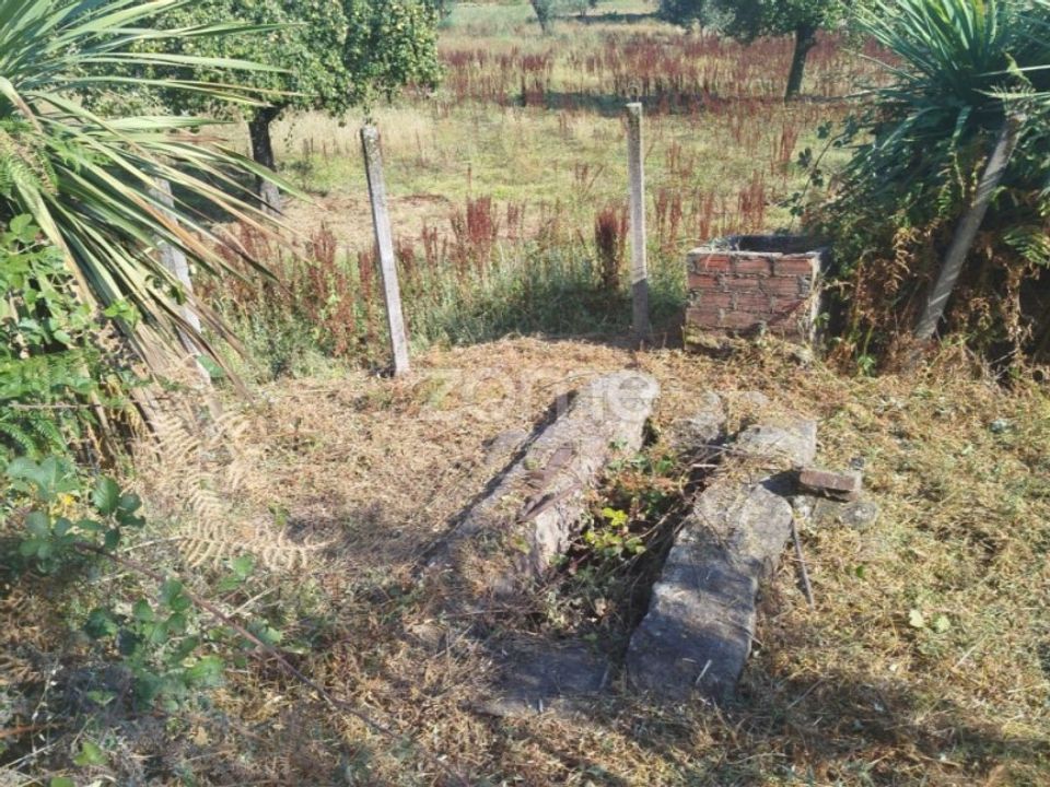Helårsgrund i Mangualde, Viseu - foto 3