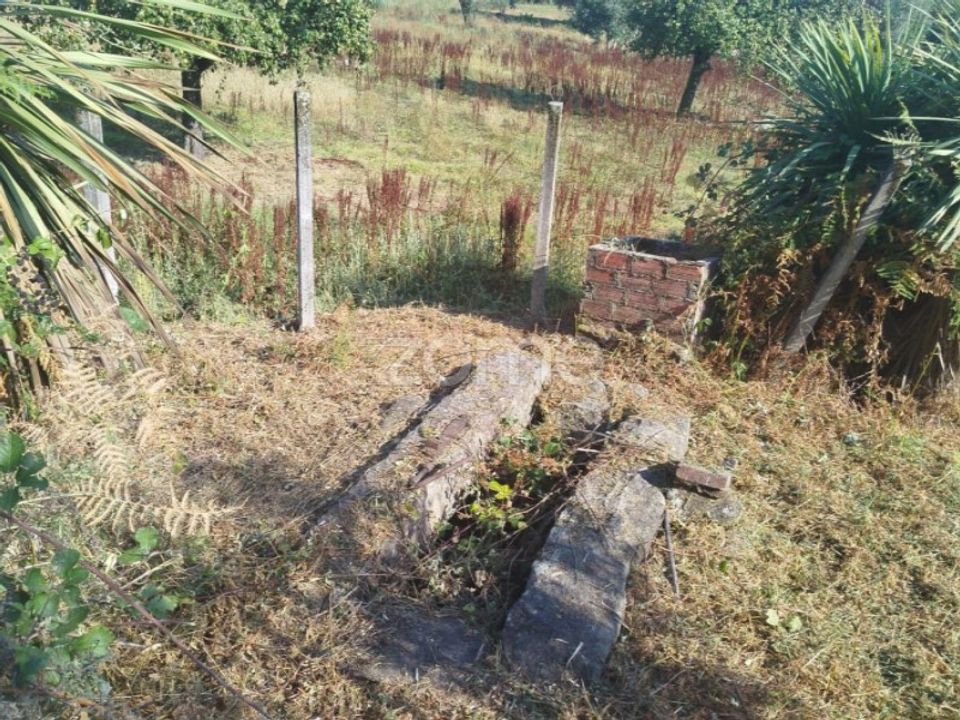 Helårsgrund i Mangualde, Viseu - foto 4