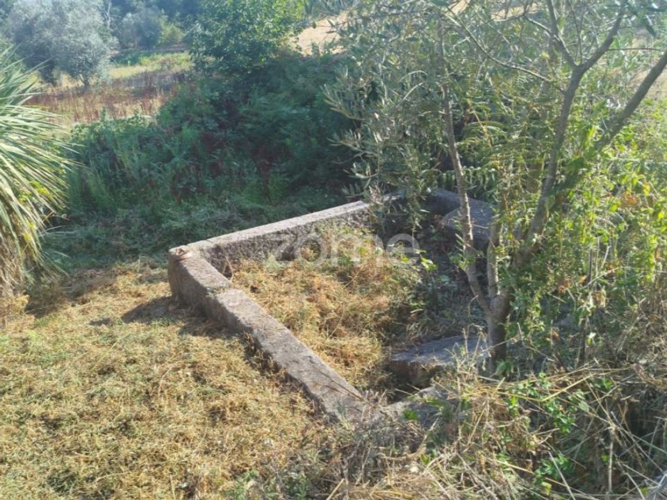 Helårsgrund i Mangualde, Viseu - foto 5
