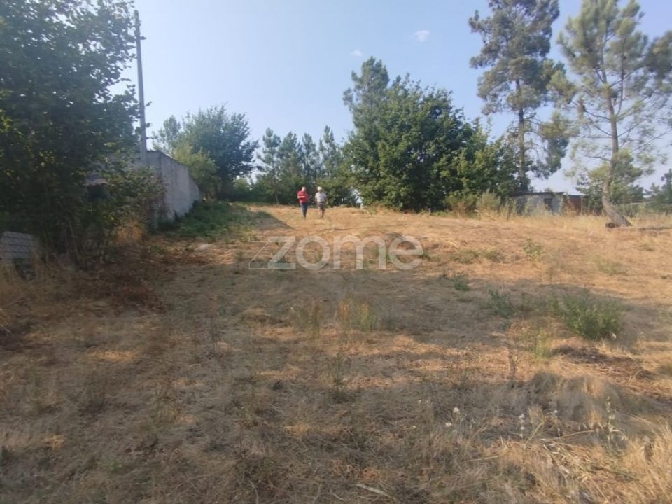 Helårsgrund i Mangualde, Viseu - foto 5