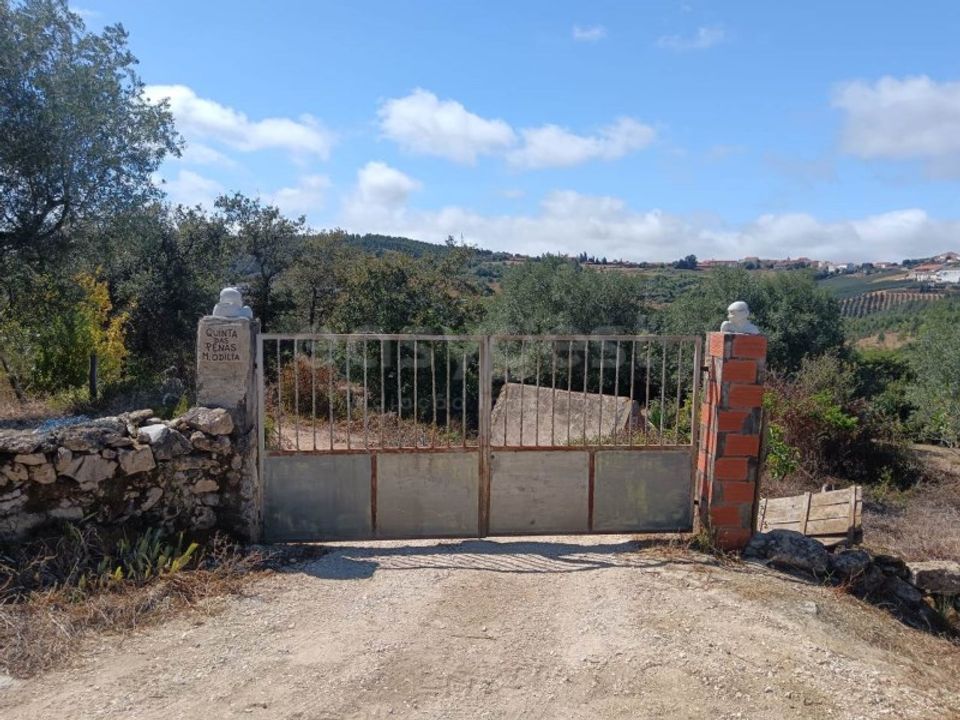 Helårsgrund i Alcobaca, Leiria - foto 1