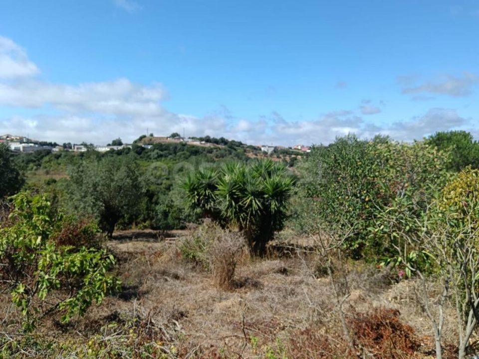 Helårsgrund i Alcobaca, Leiria - foto 2