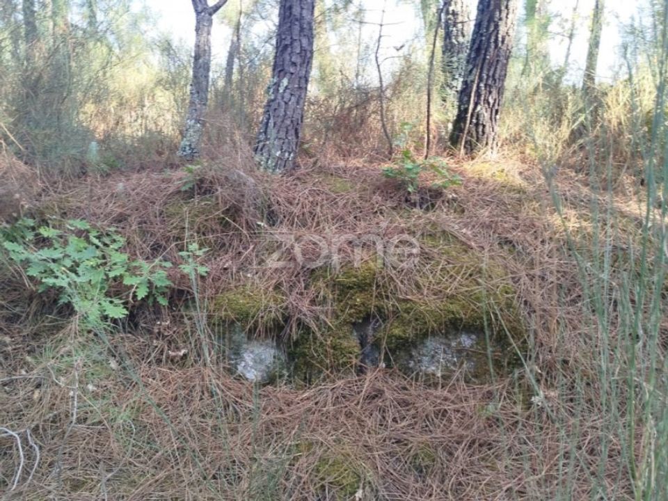 Helårsgrund i Mangualde, Viseu - foto 5
