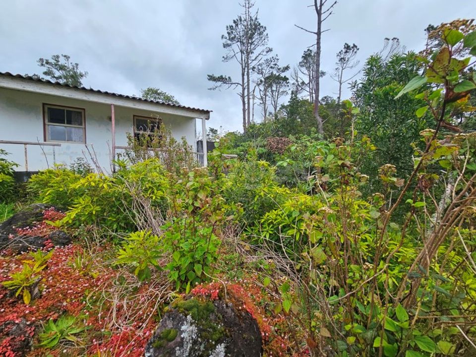 Villa i Lajes do Pico, Pico - foto 1