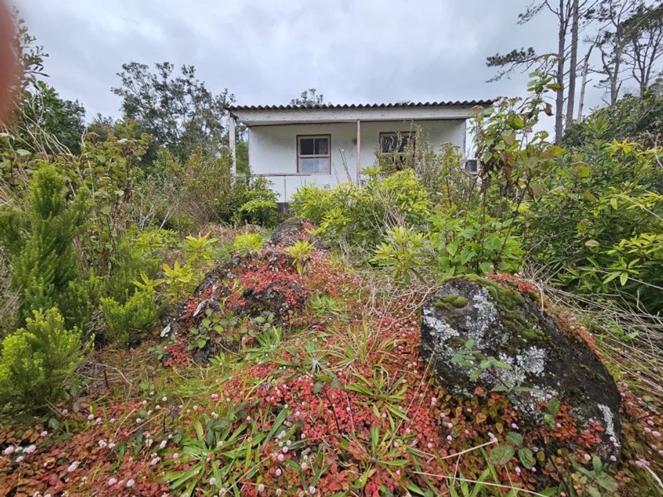 Villa i Lajes do Pico, Pico - foto 4
