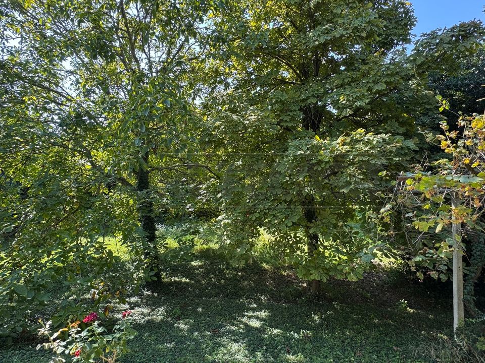 Villa i Salzano, Venice - foto 4