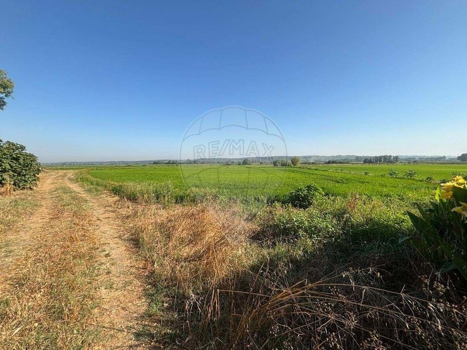 Farm hus i Coruche, Santarem - foto 2
