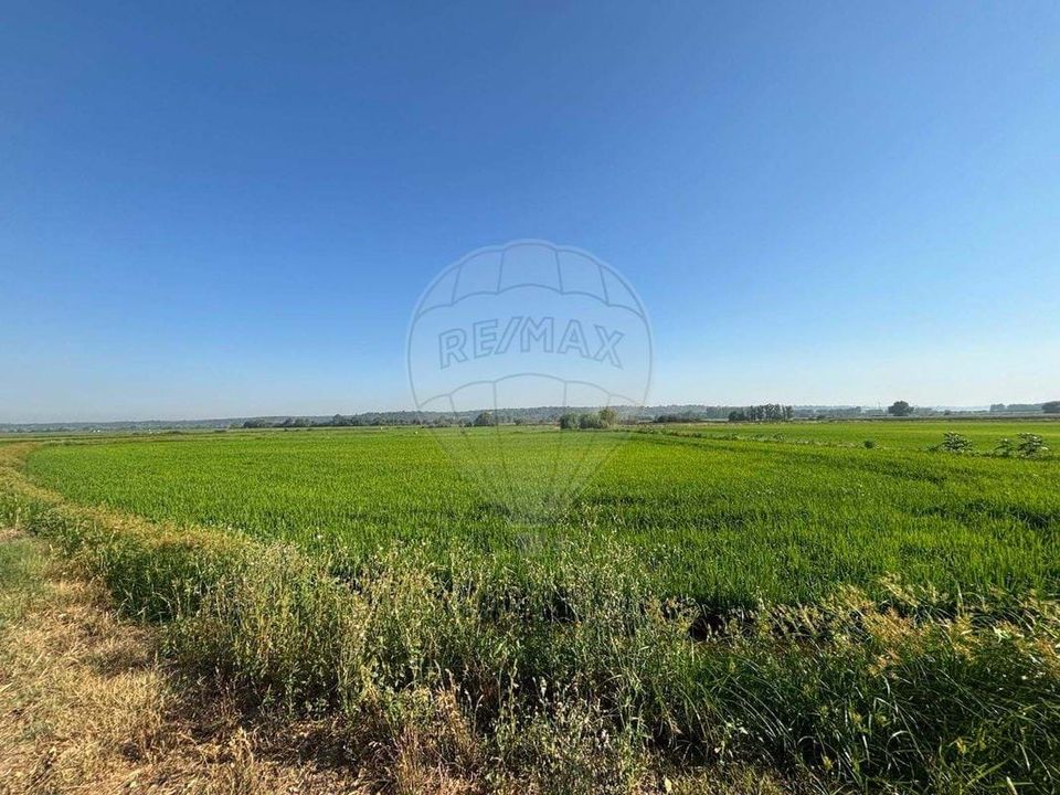 Farm hus i Coruche, Santarem - foto 3