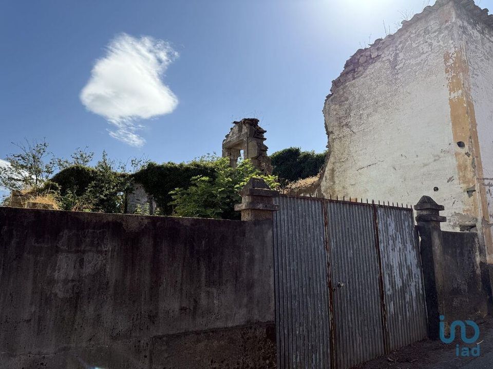 Byhus i Peso da Regua, Vila Real - foto 5