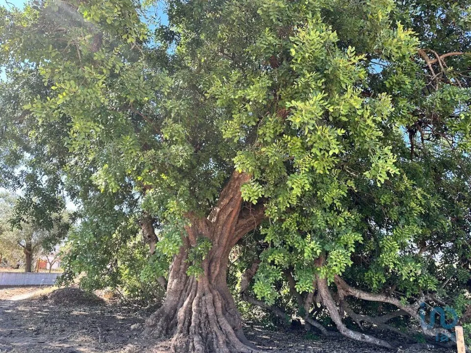 Helårsgrund i Tavira, Faro - foto 1