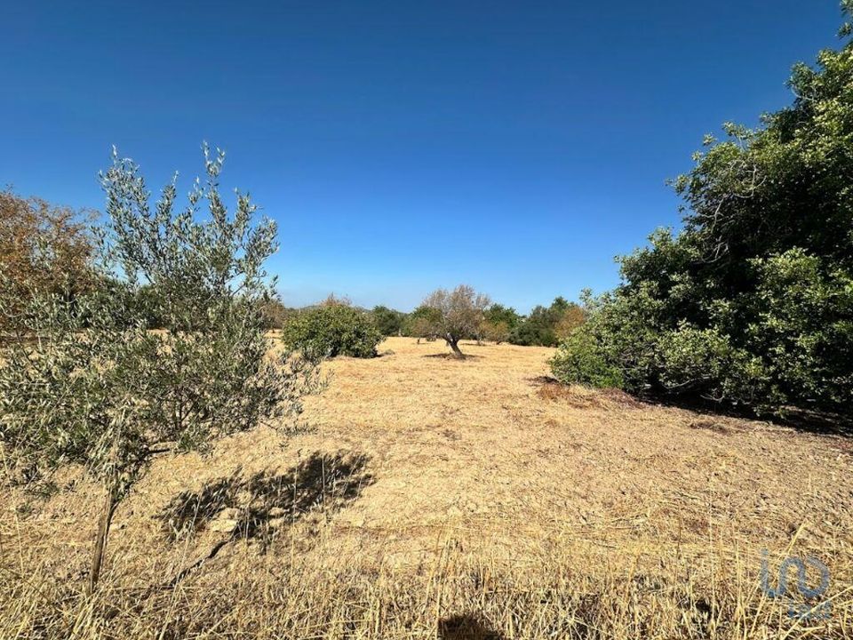 Helårsgrund i Tavira, Faro - foto 2