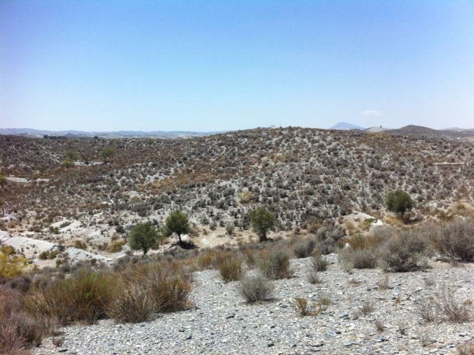 Terra a Lorca, Murcia - foto 2