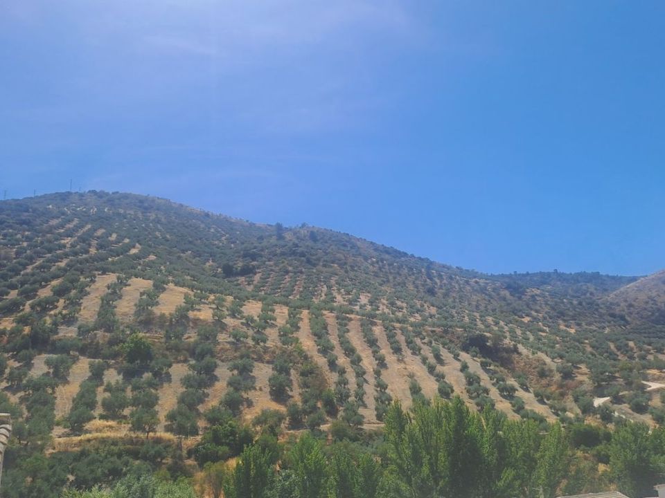 Byhus i Almajalejo (Los Pardos), Almeria - foto 2