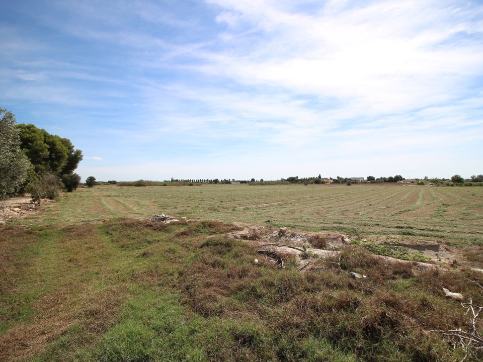 Terrain - Dolores, Alicante - photo 1