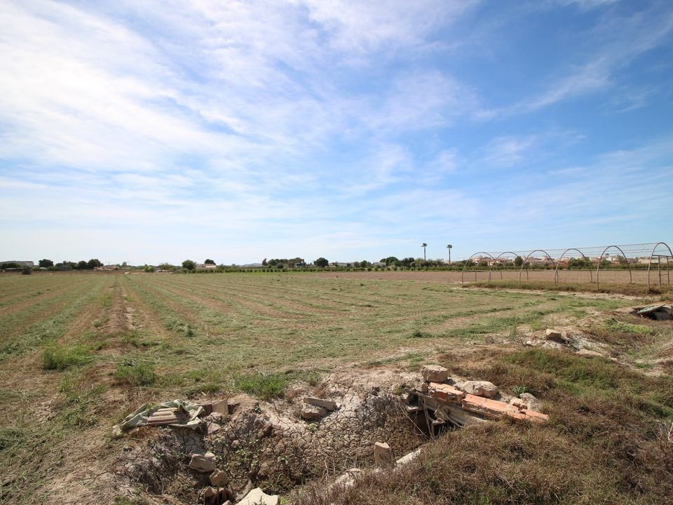 Terrain - Dolores, Alicante - photo 3