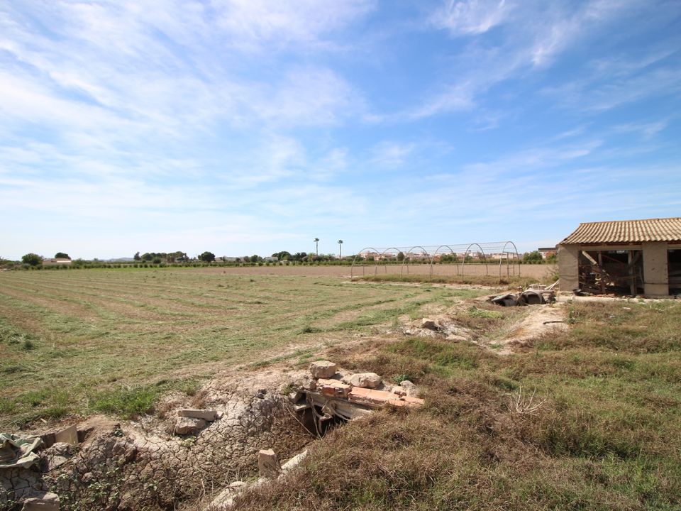 Terrain - Dolores, Alicante - photo 4