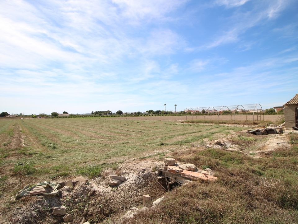 Terrain - Dolores, Alicante - photo 5