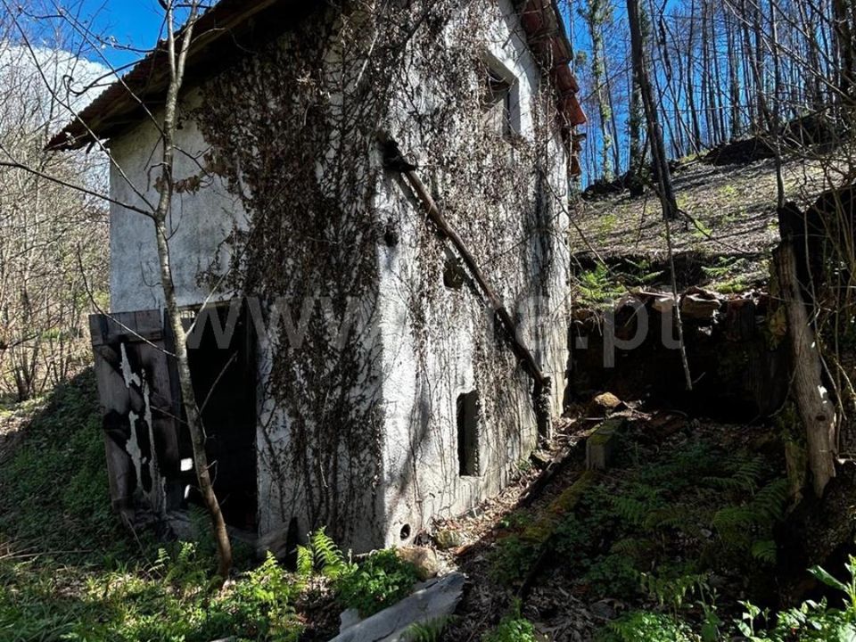 Helårsgrund i Celorico de Basto, Braga - foto 1